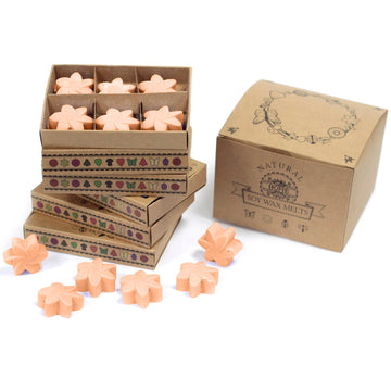 Box of 6 Wax Melts - Tuberose - Hira Online